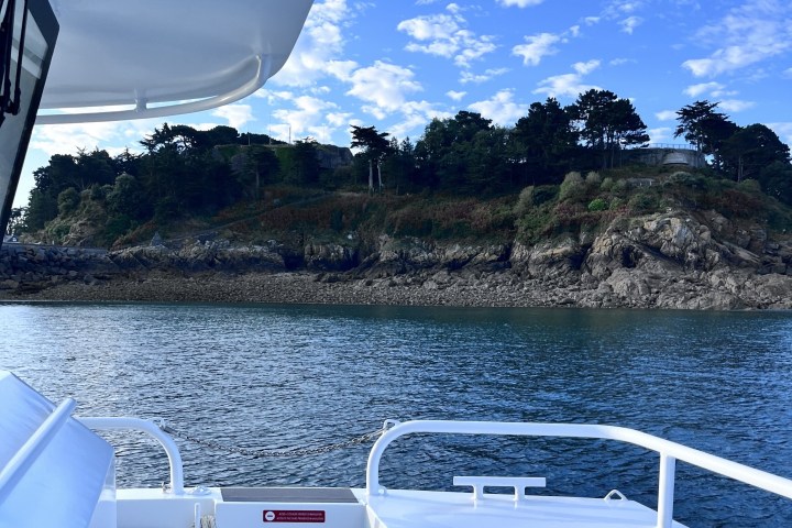 View from a boat of a rocky shoreline with trees and a blue sky.
