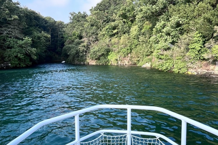 View from a boat of a river surrounded by lush green trees.