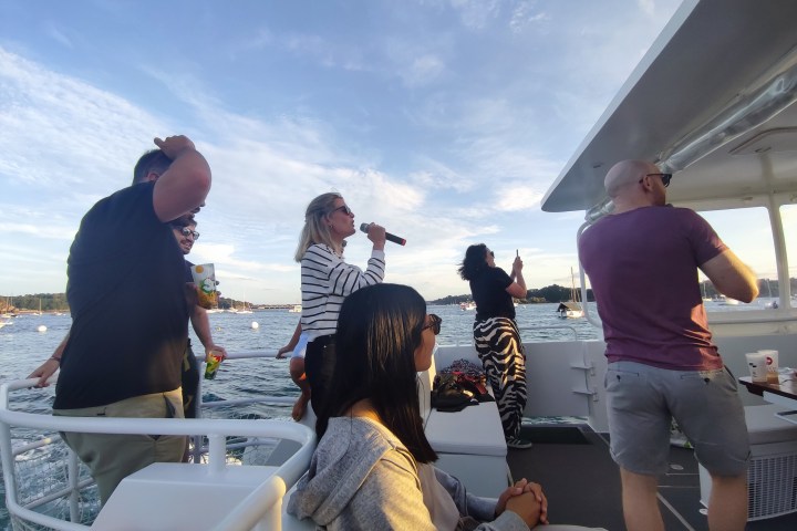 People on a boat enjoying a party with singing and drinks.