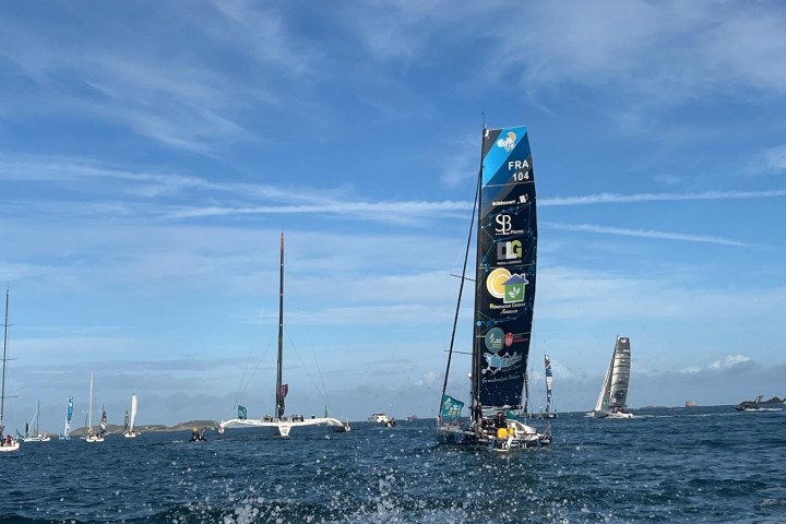 Sailboats with colorful sails on the ocean under a blue sky.